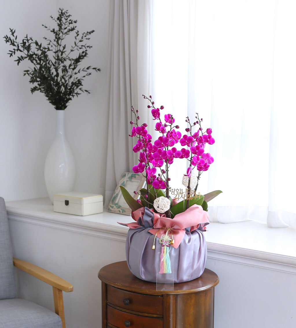 [/]   ڱ  - õȫ ()  ɹ