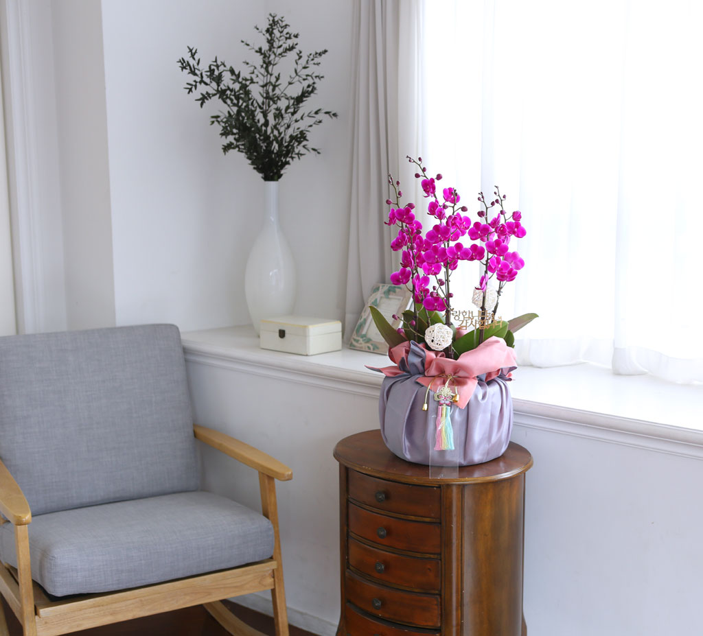 [/]   ڱ  - õȫ ()  ɹ