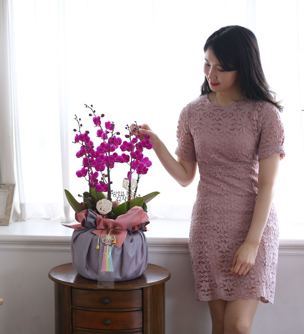 [/]   ڱ  - õȫ ()  ɹ