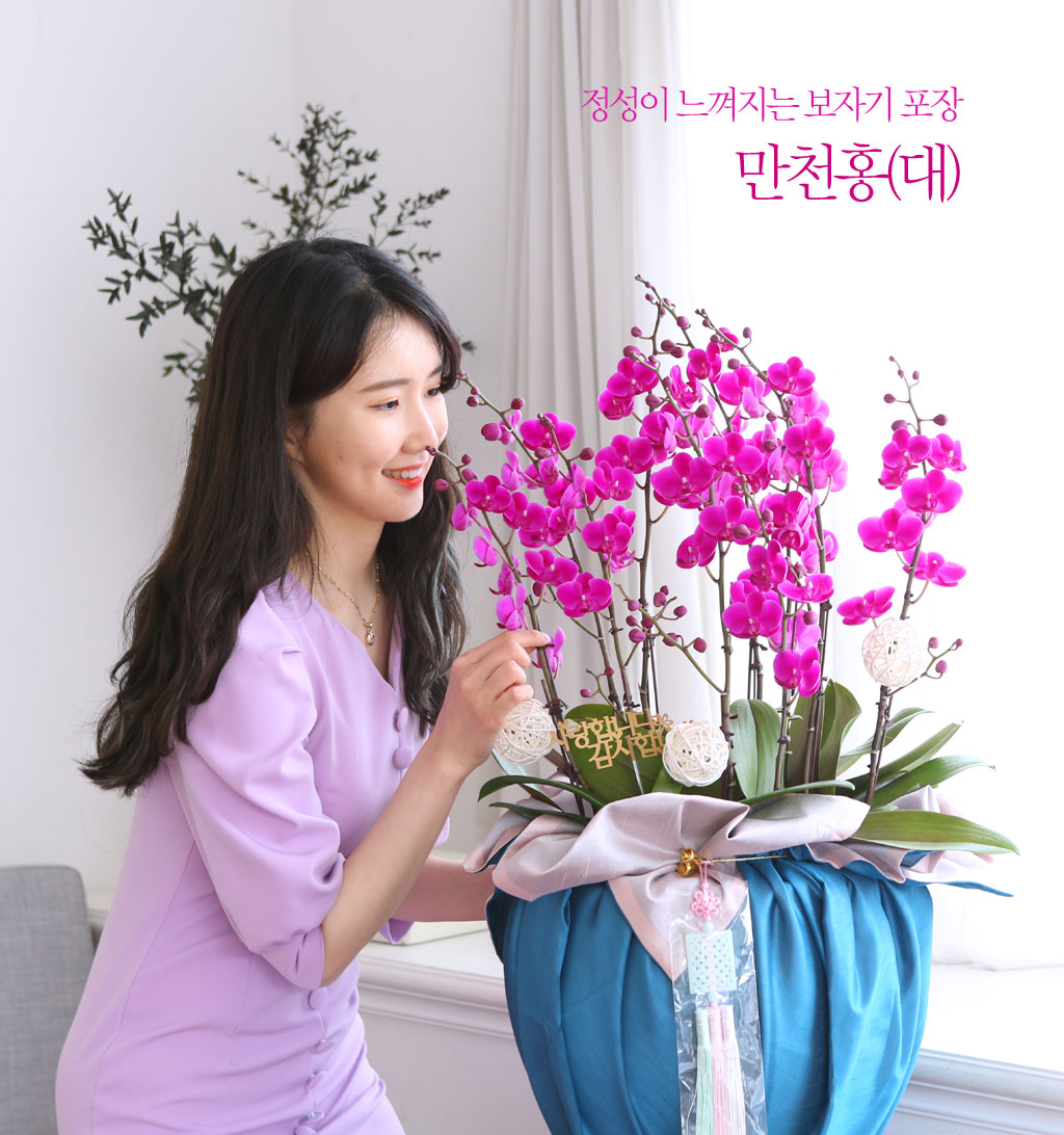 []   ڱ  - õȫ ()  ɹ