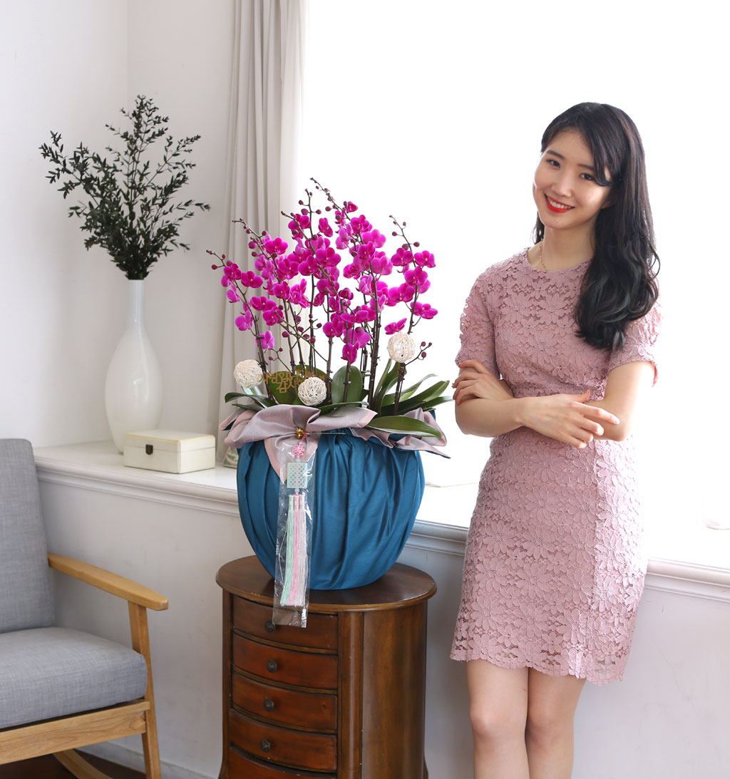 []   ڱ  - õȫ ()  ɹ