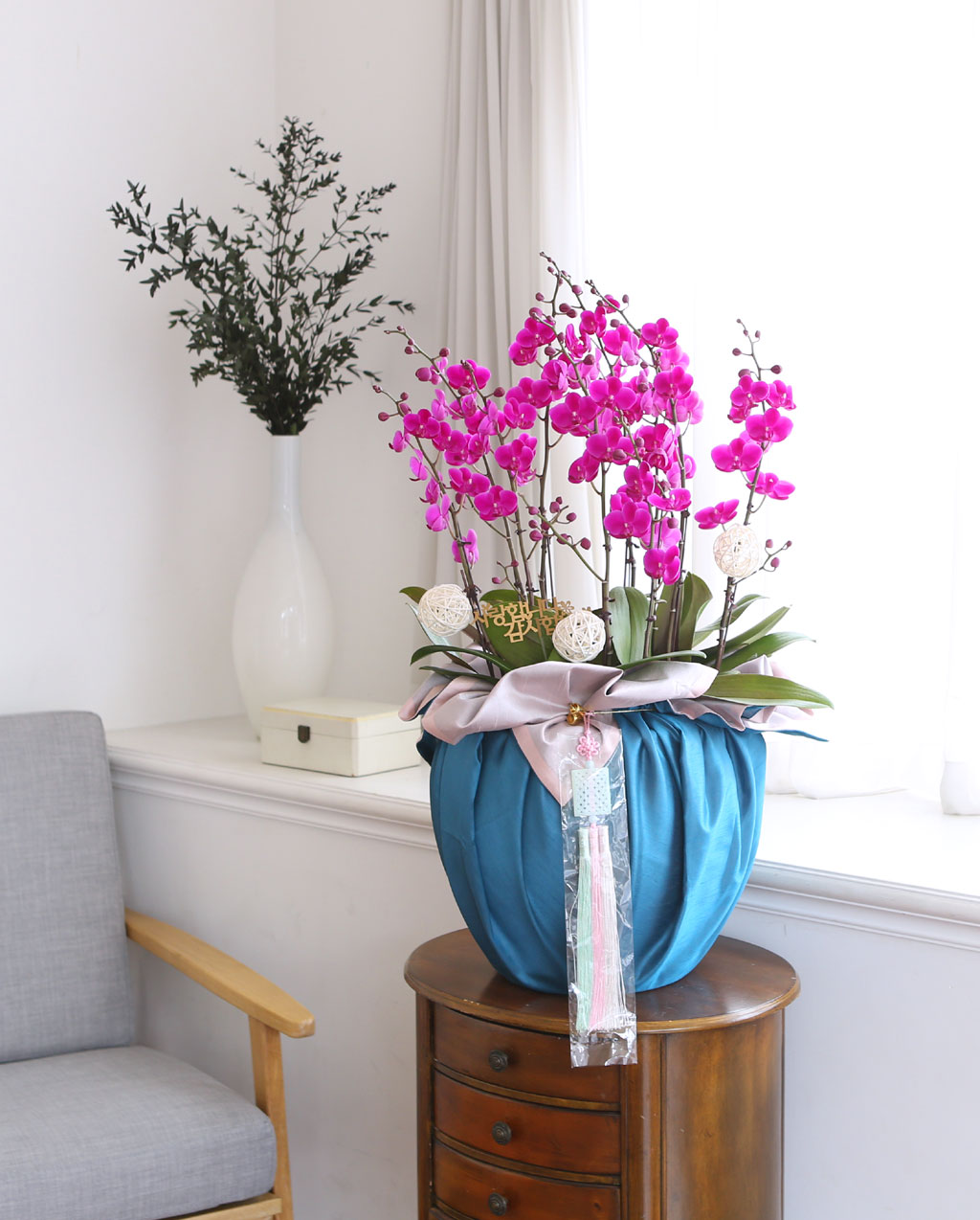 []   ڱ  - õȫ ()  ɹ