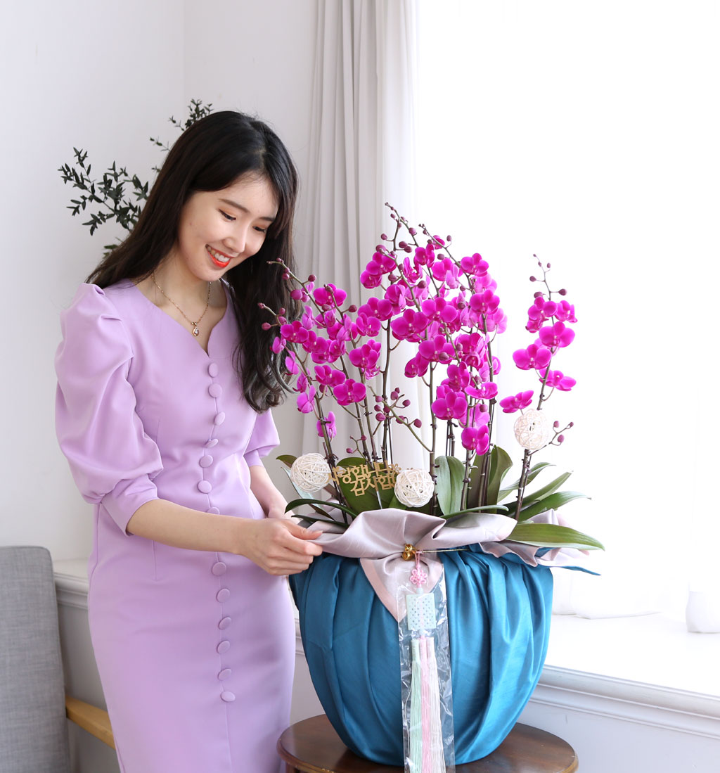 []   ڱ  - õȫ ()  ɹ