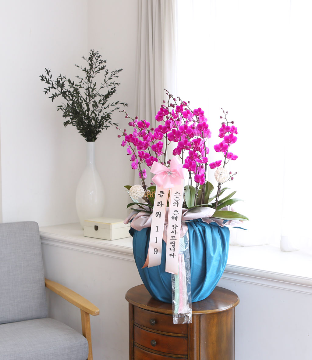 []   ڱ  - õȫ ()  ɹ