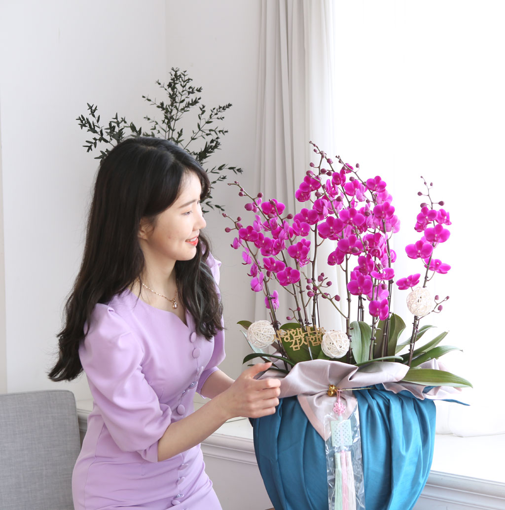 []   ڱ  - õȫ ()  ɹ