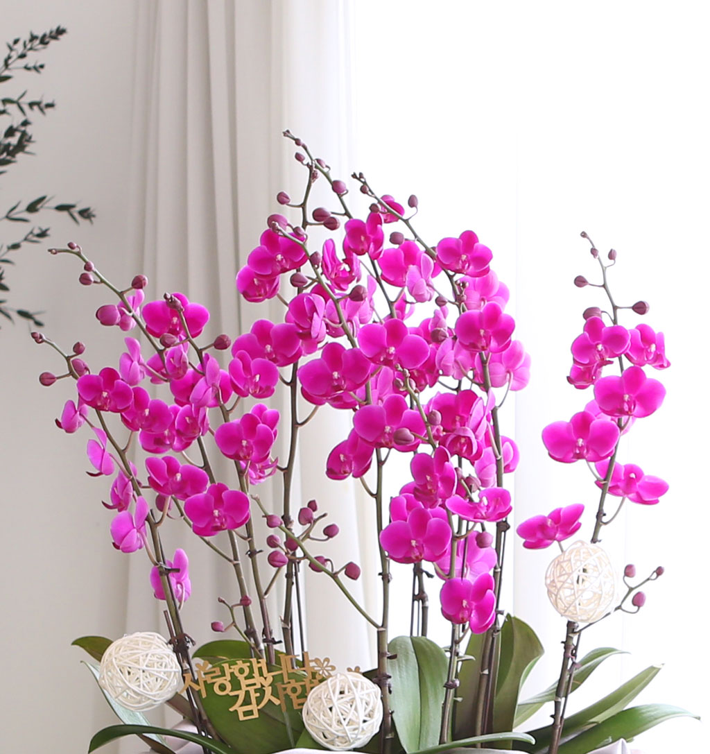 []   ڱ  - õȫ ()  ɹ