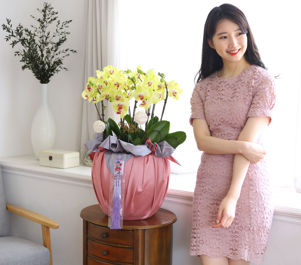 [/]   ڱ  - ȣ ()  ɹ