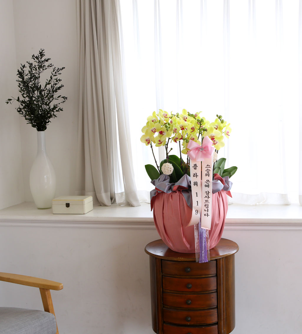 [/]   ڱ  - ȣ ()  ɹ