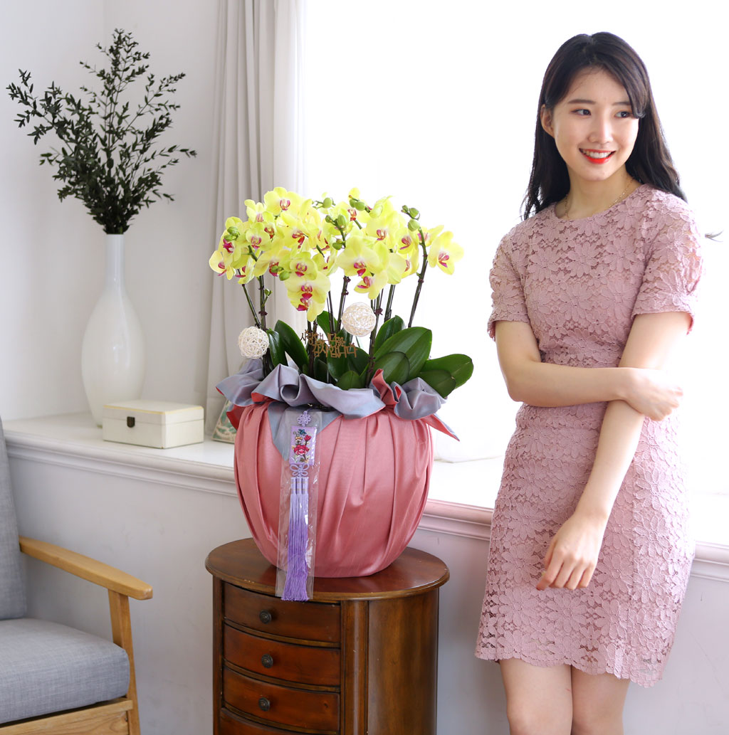 [/]   ڱ  - ȣ ()  ɹ