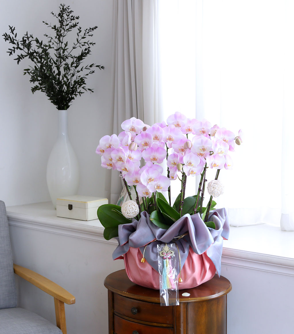 []   ڱ  - ũȣ ()  ɹ