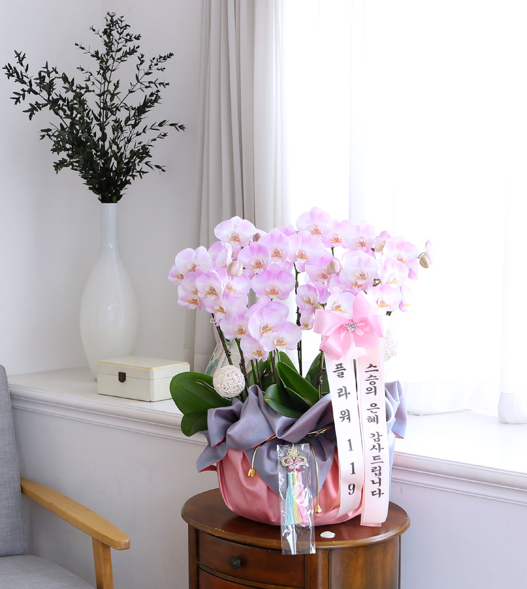 []   ڱ  - ũȣ ()  ɹ