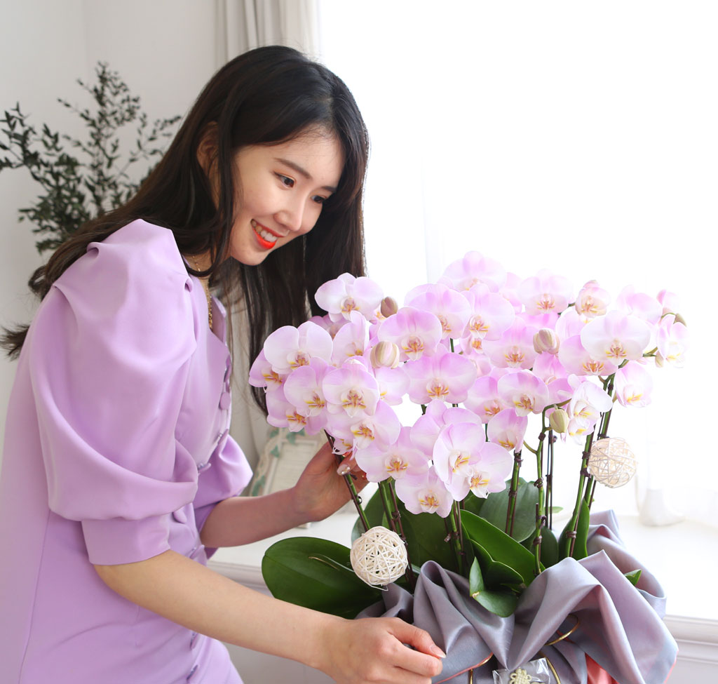 []   ڱ  - ũȣ ()  ɹ