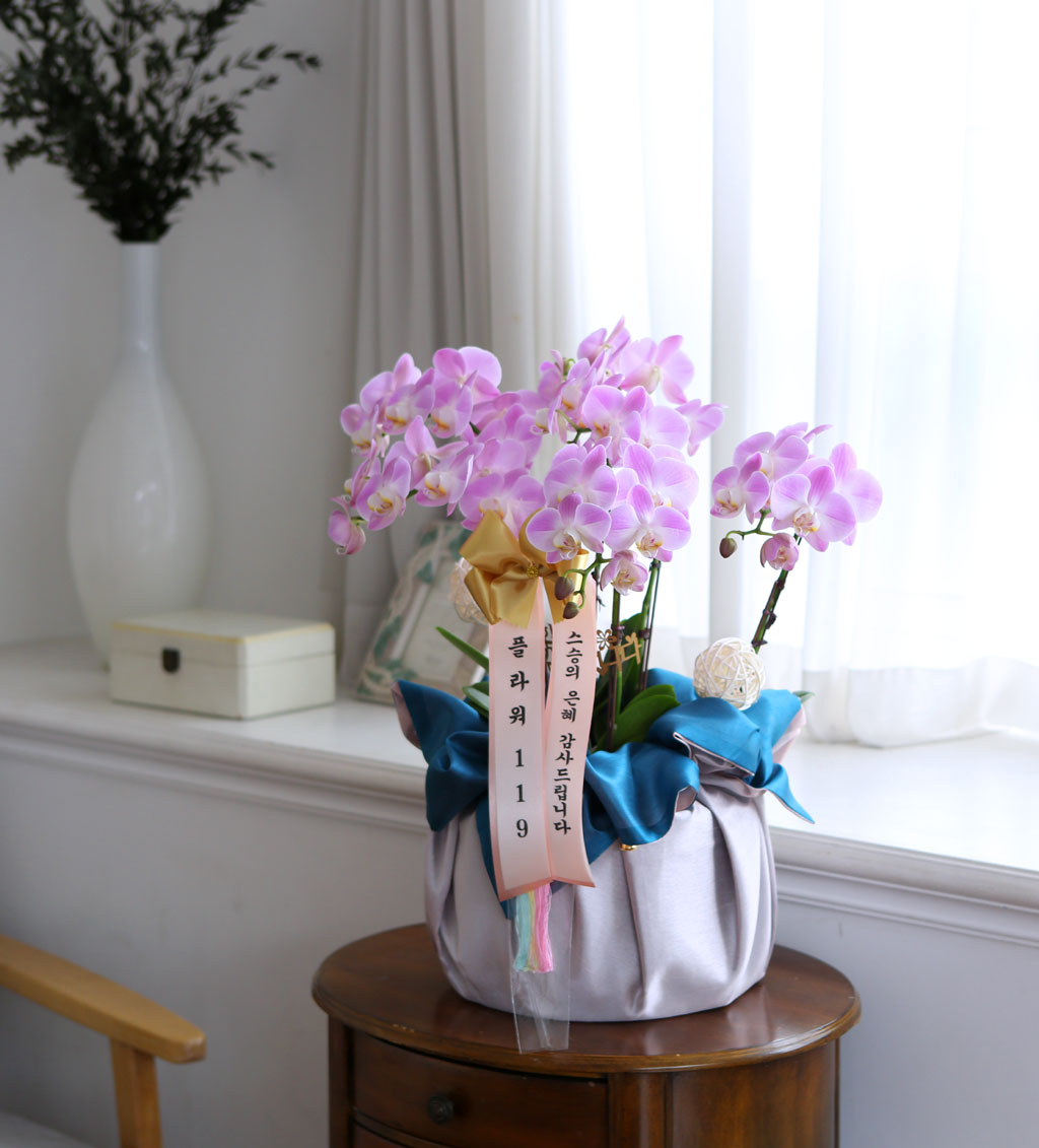 []   ڱ  -   ũȣ ()  ɹ