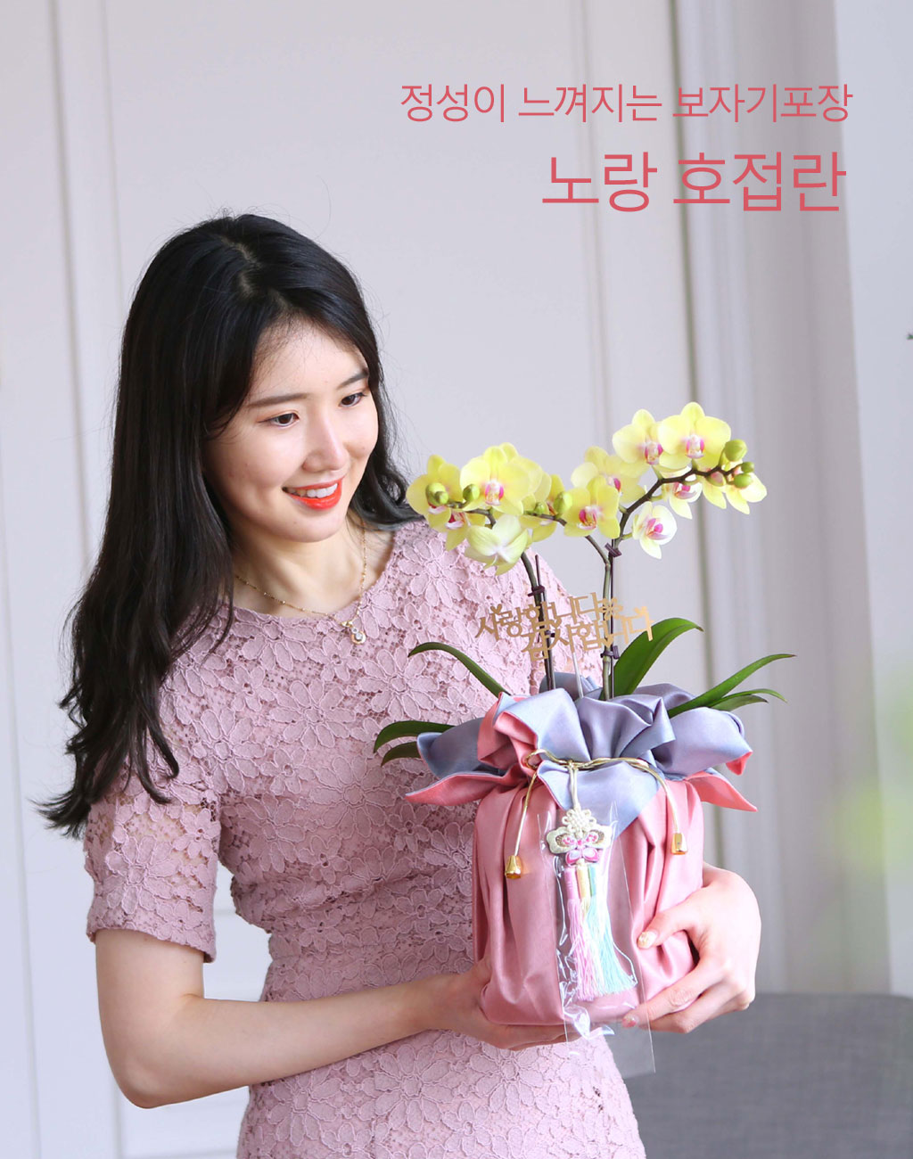 []   ڱ  -  ȣ ()  ɹ