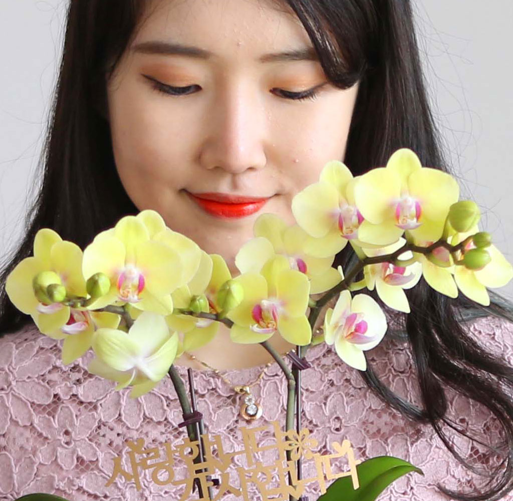 []   ڱ  -  ȣ ()  ɹ