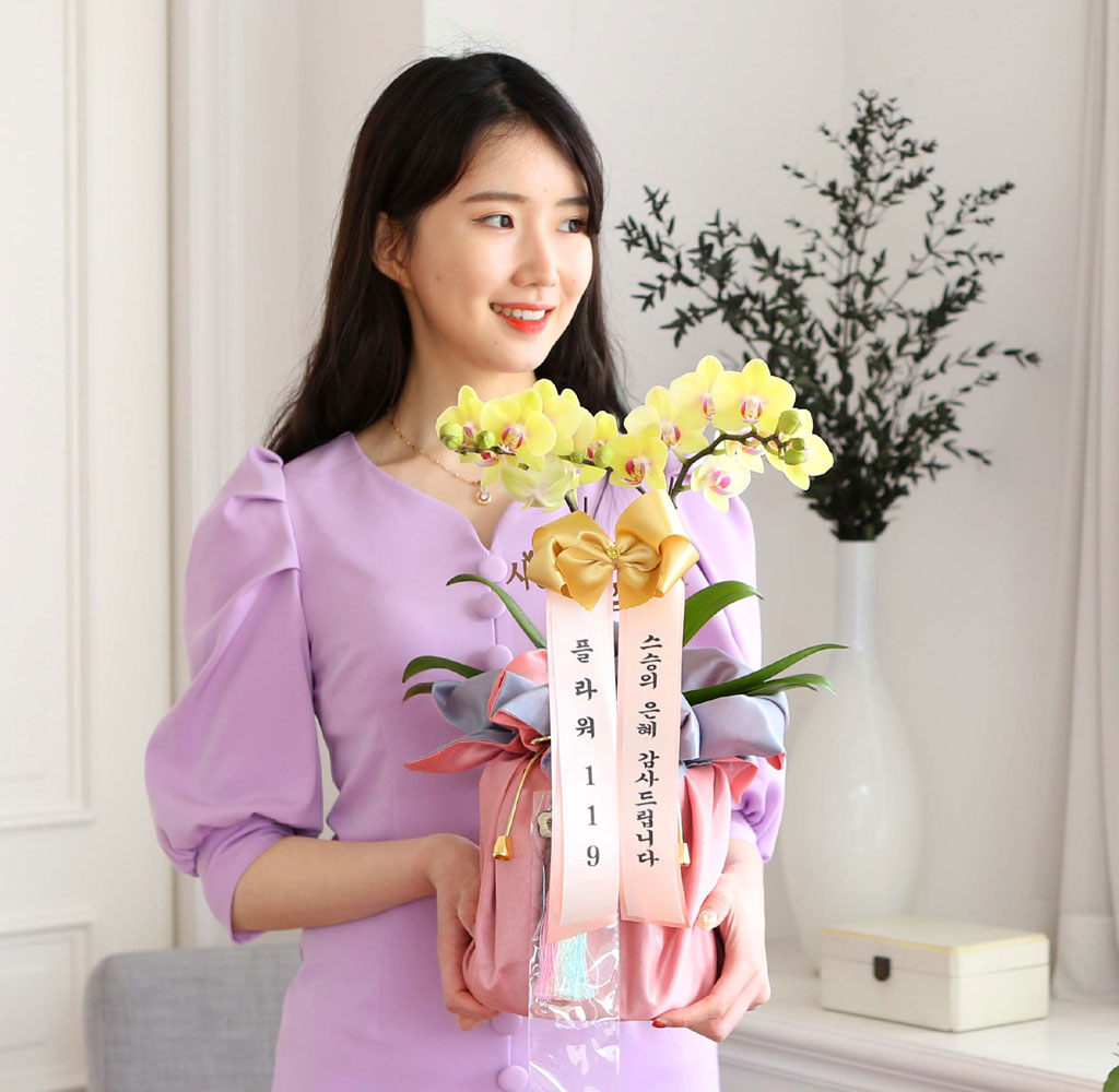 []   ڱ  -  ȣ ()  ɹ