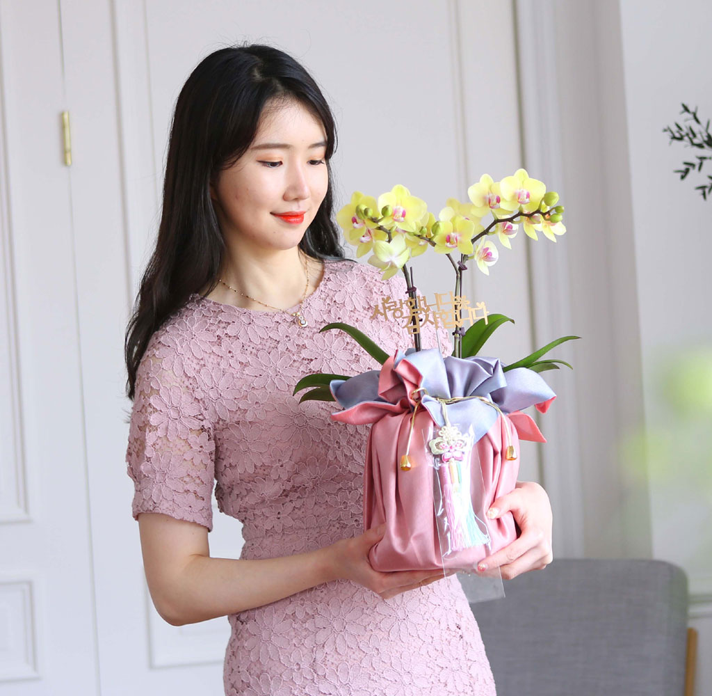 []   ڱ  -  ȣ ()  ɹ