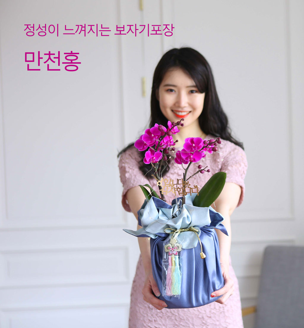 []   ڱ  - õȫ ()  ɹ