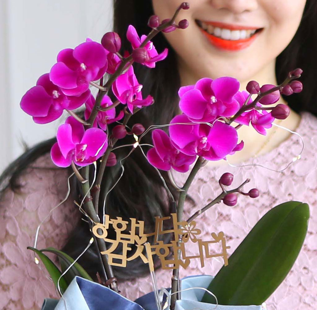 []   ڱ  - õȫ ()  ɹ