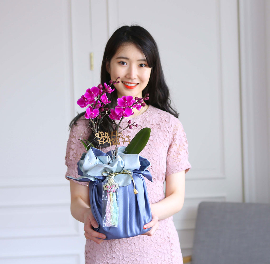 []   ڱ  - õȫ ()  ɹ