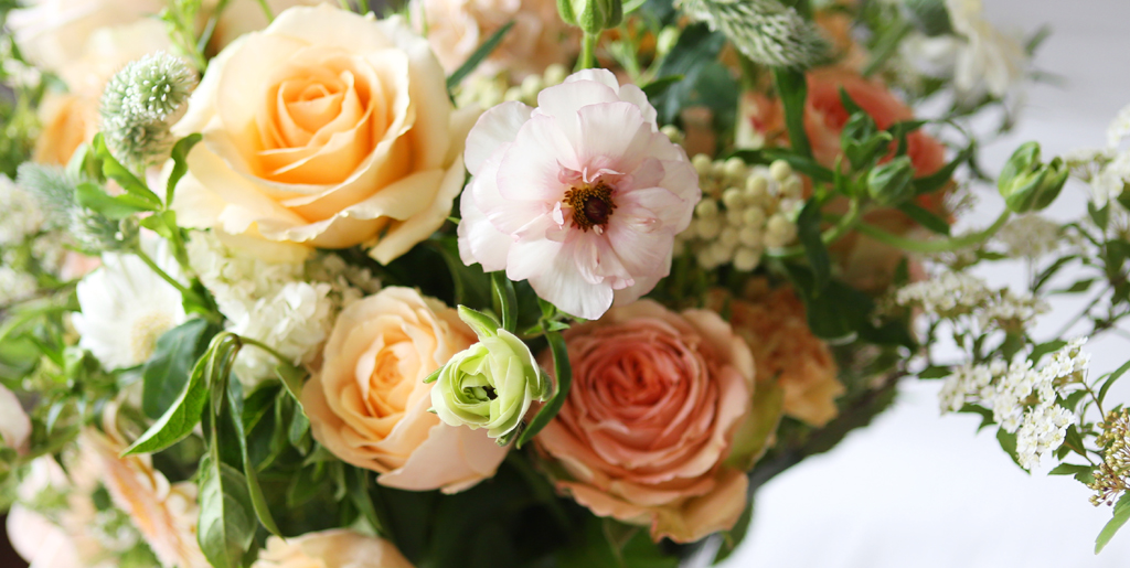 [/ Ϻ]Roseday -  ̼  ɹ