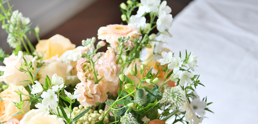 [/ Ϻ]Roseday -  ̼  ɹ