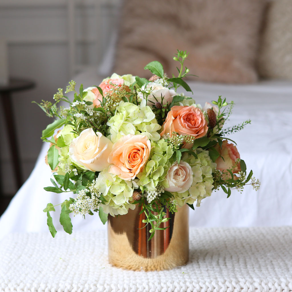 [/ǹ]Roseday - Tessa  ɹ