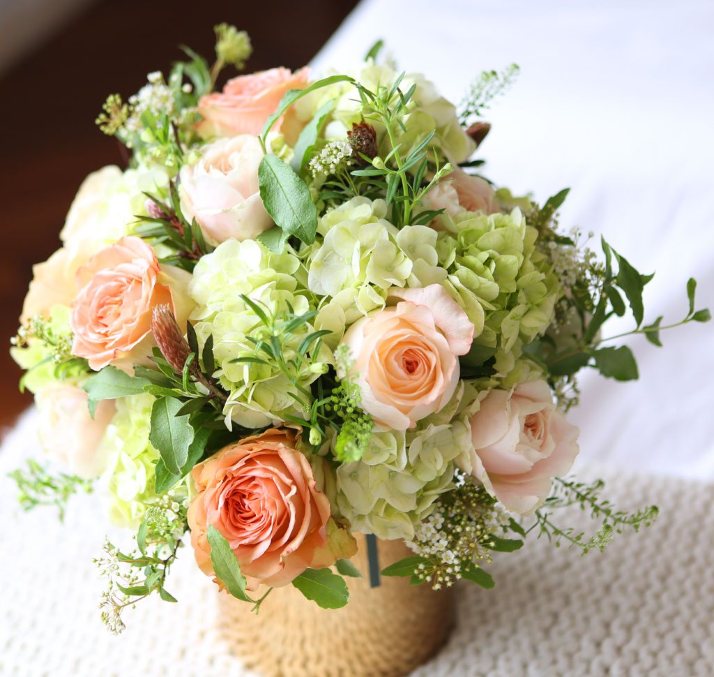 [/ǹ]Roseday - Tessa  ɹ