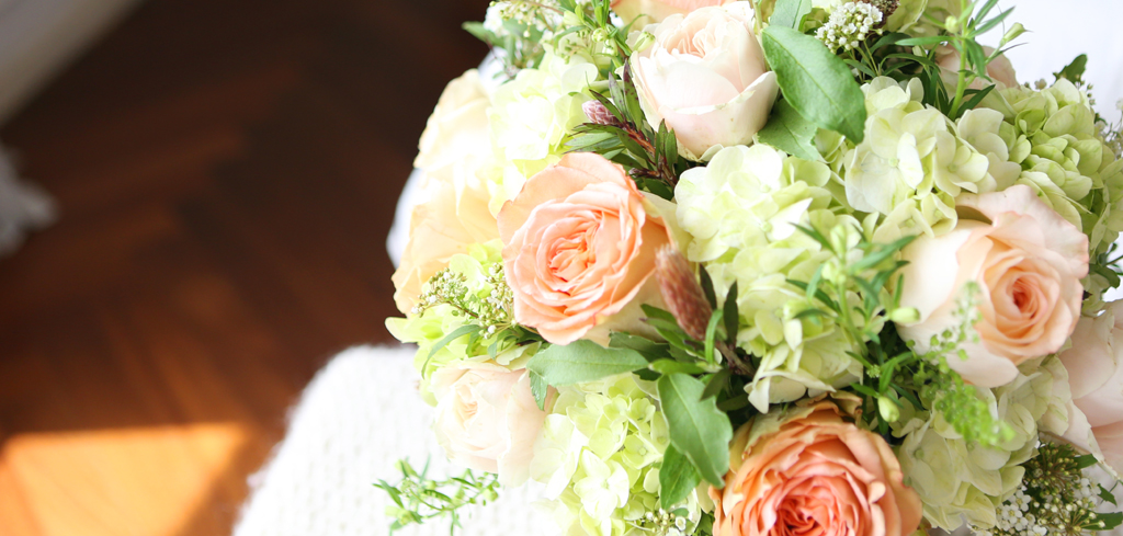 [/ǹ]Roseday - Tessa  ɹ