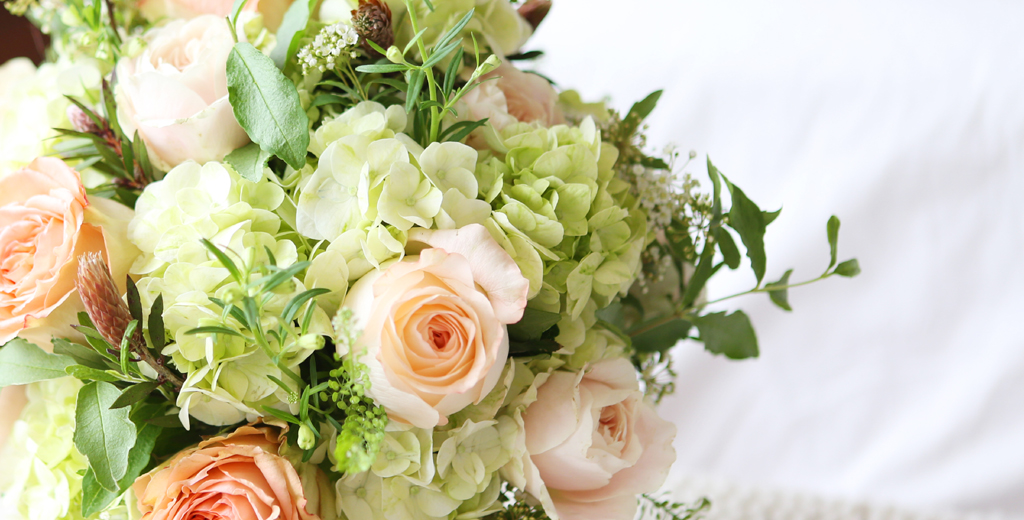 [/ǹ]Roseday - Tessa  ɹ