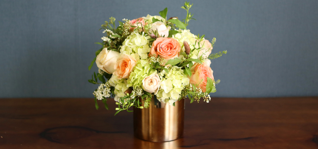 [/ǹ]Roseday - Tessa  ɹ