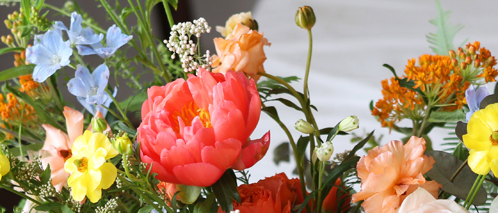 [/ Ϻ]Roseday - Stephanie says