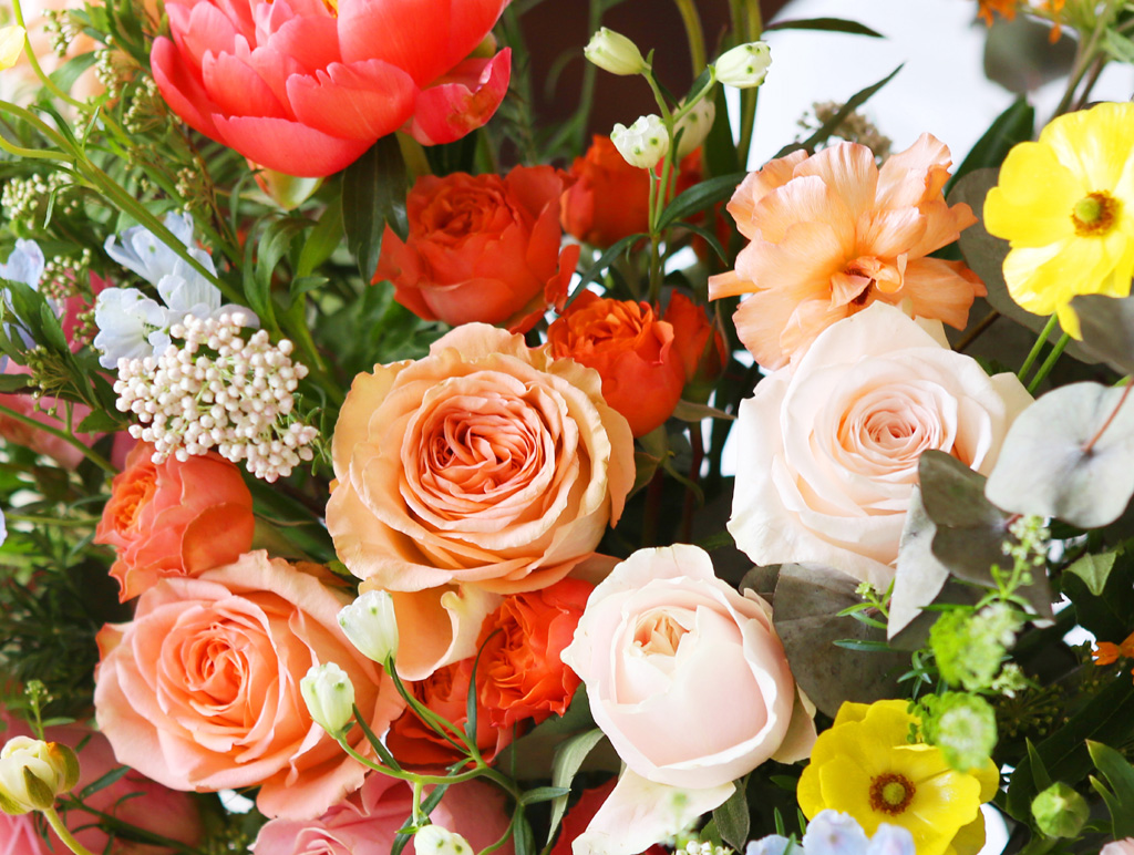 [/ Ϻ]Roseday - Stephanie says