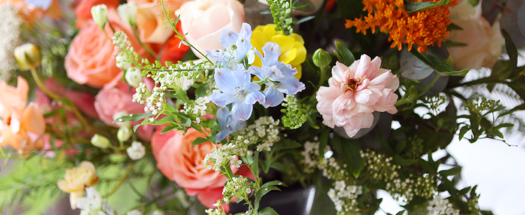 [/ Ϻ]Roseday - Stephanie says