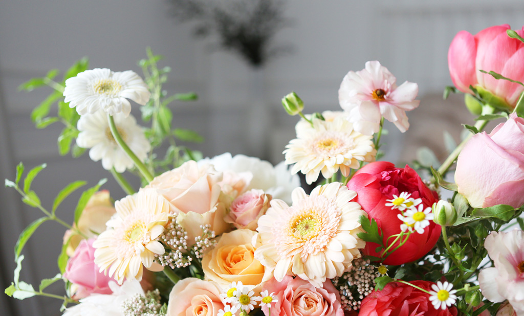 [/ Ϻ]Roseday- Bright smile  ɹ