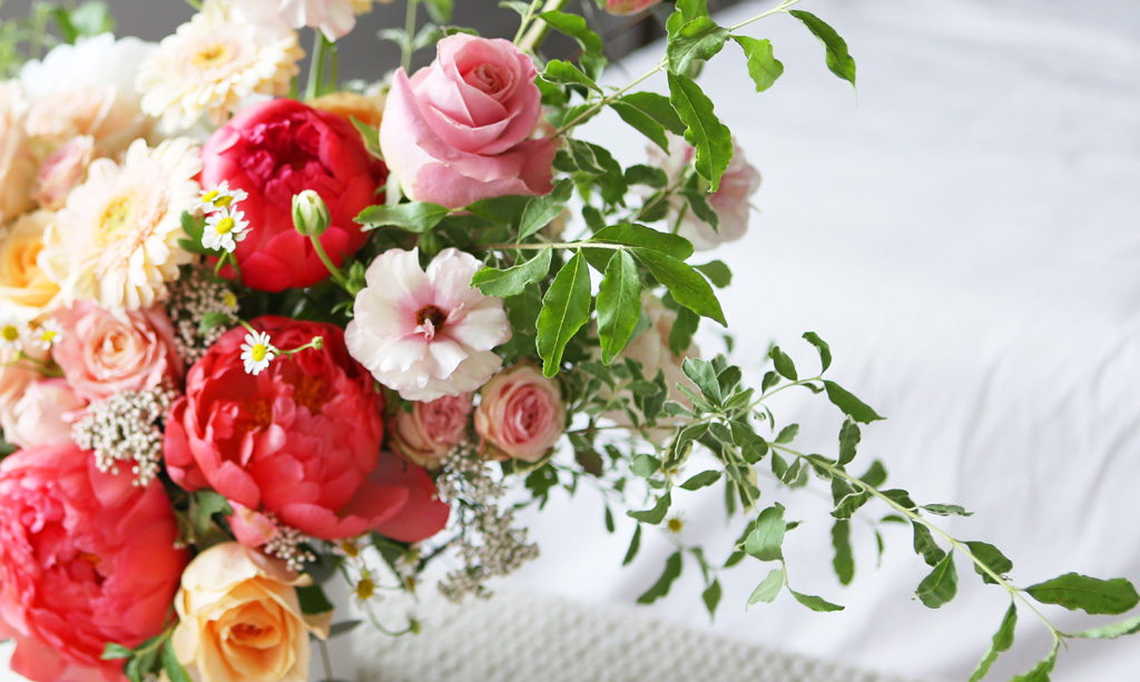 [/ Ϻ]Roseday- Bright smile  ɹ