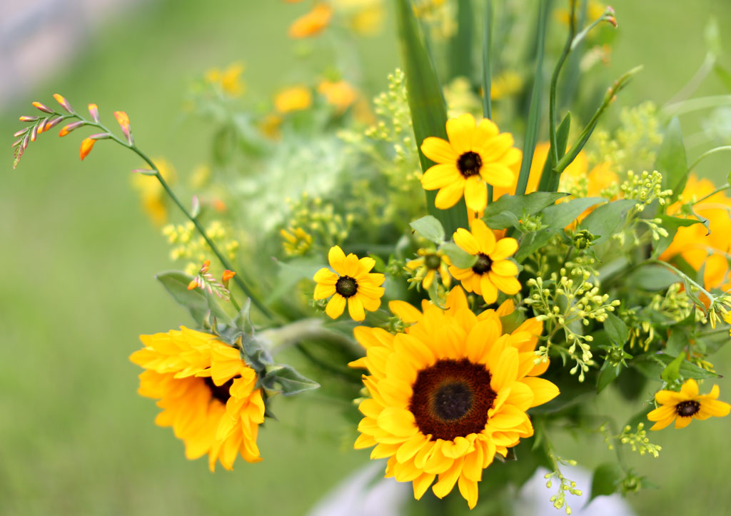 Sunflowers ´ç½Å¸¸À» ¹Ù¶óº¾´Ï´Ù