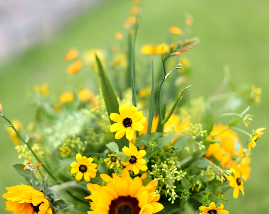 Sunflowers ´ç½Å¸¸À» ¹Ù¶óº¾´Ï´Ù