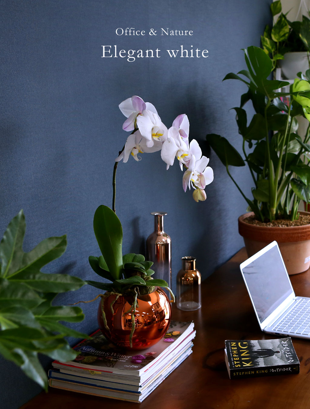 Office & Nature - Elegant white ()  ɹ