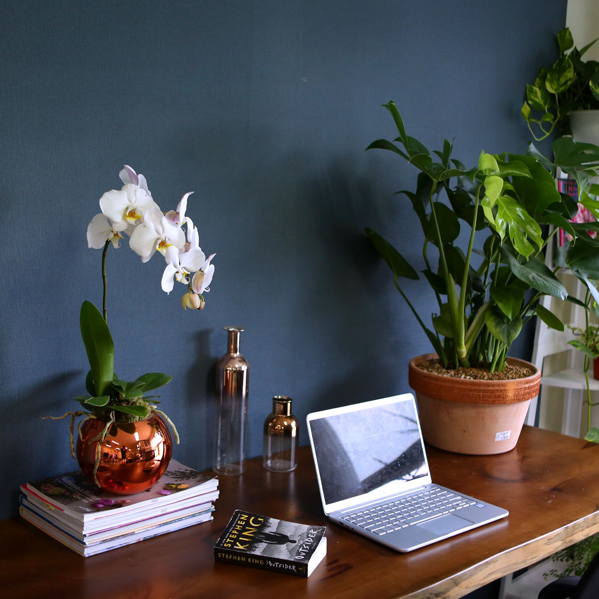 Office & Nature - Elegant white ()  ɹ