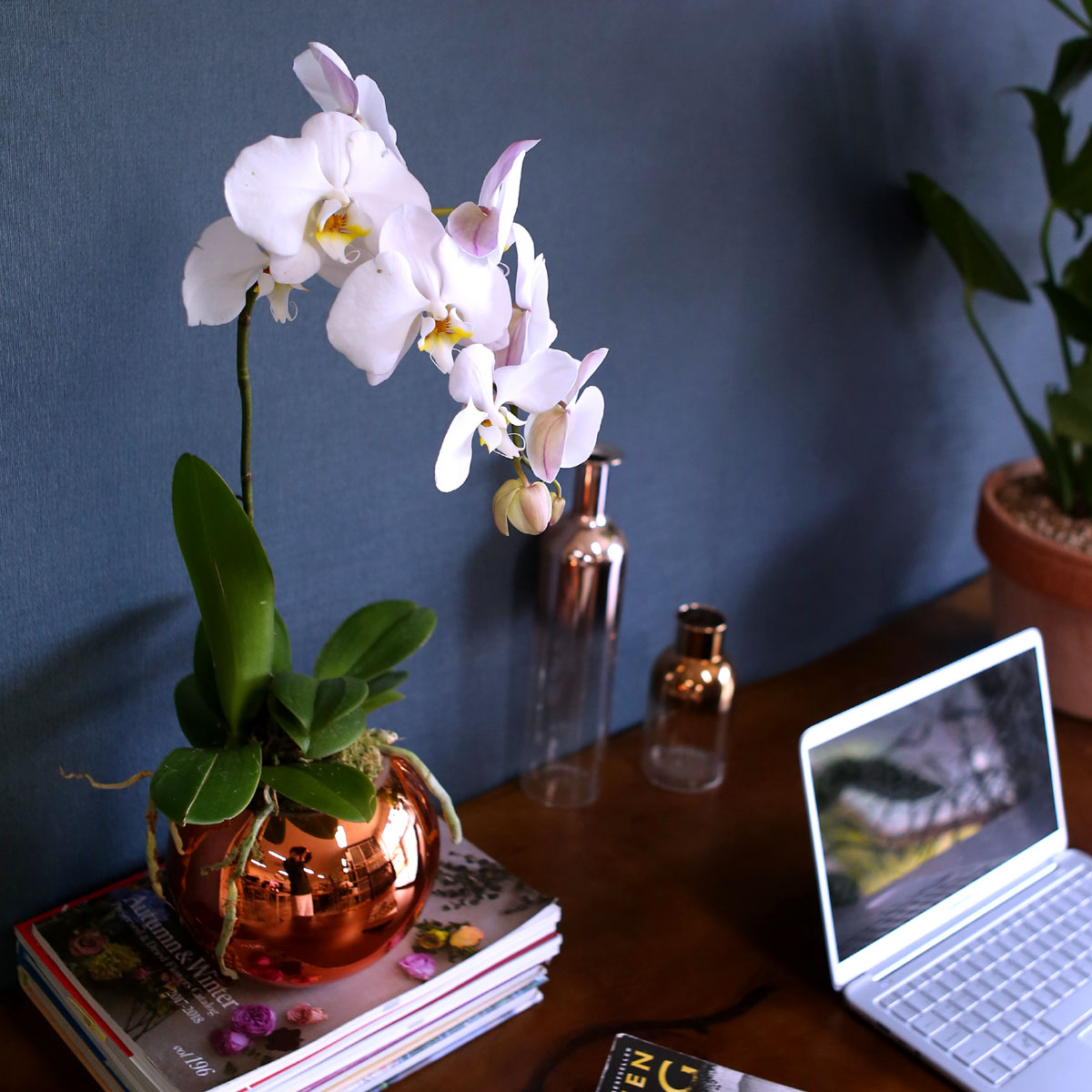 Office & Nature - Elegant white ()  ɹ