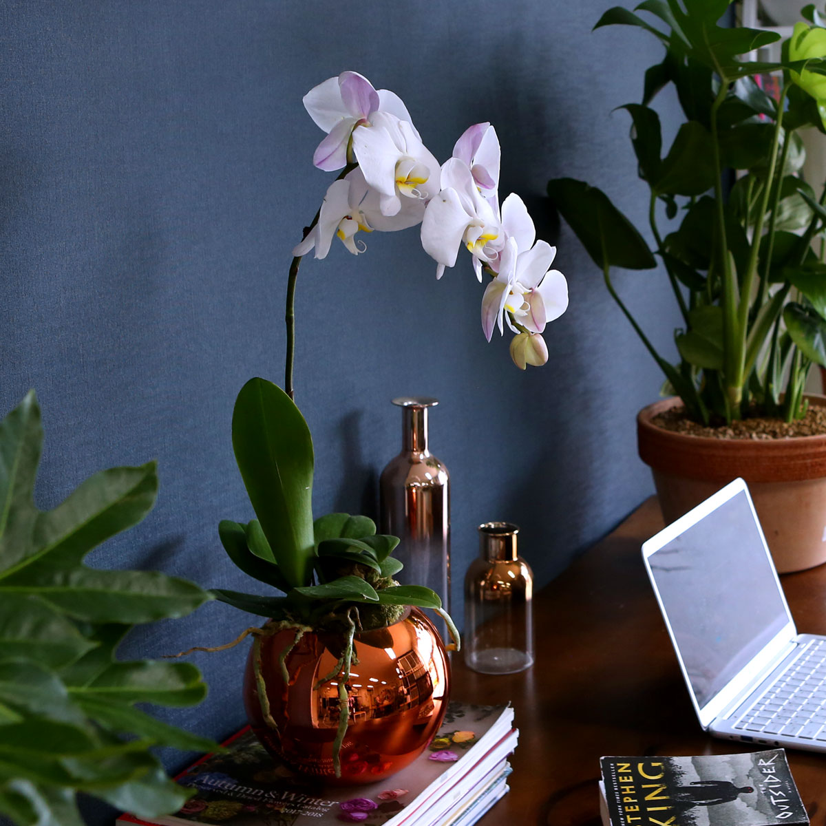 Office & Nature - Elegant white ()  ɹ