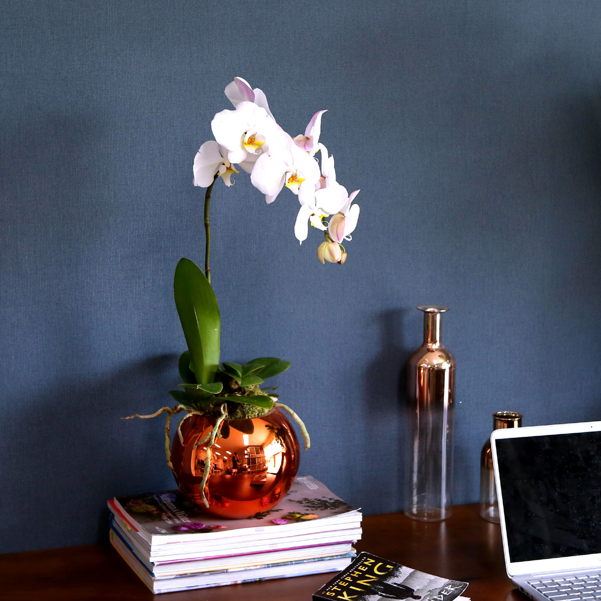 Office & Nature - Elegant white ()  ɹ