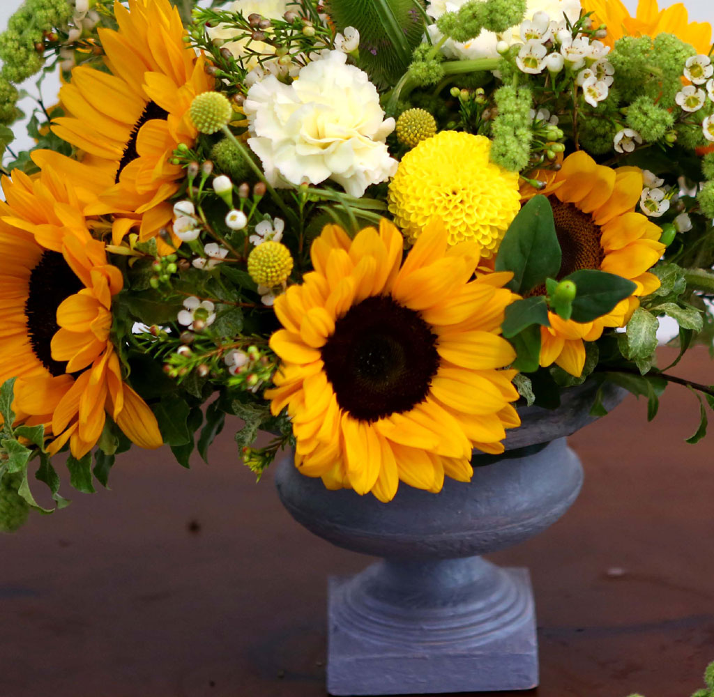 Summer Flowers - ޺ Ը  ɹ