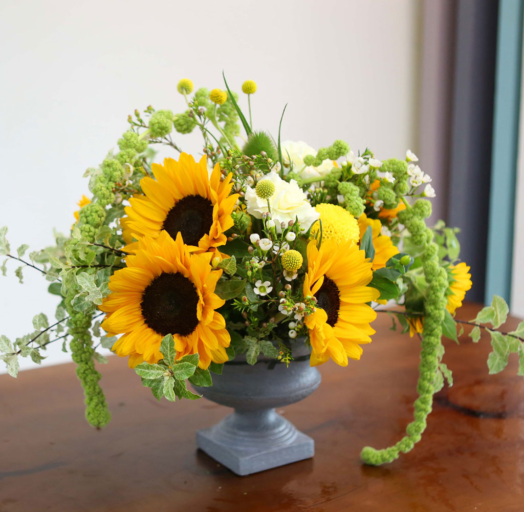 Summer Flowers - ޺ Ը  ɹ