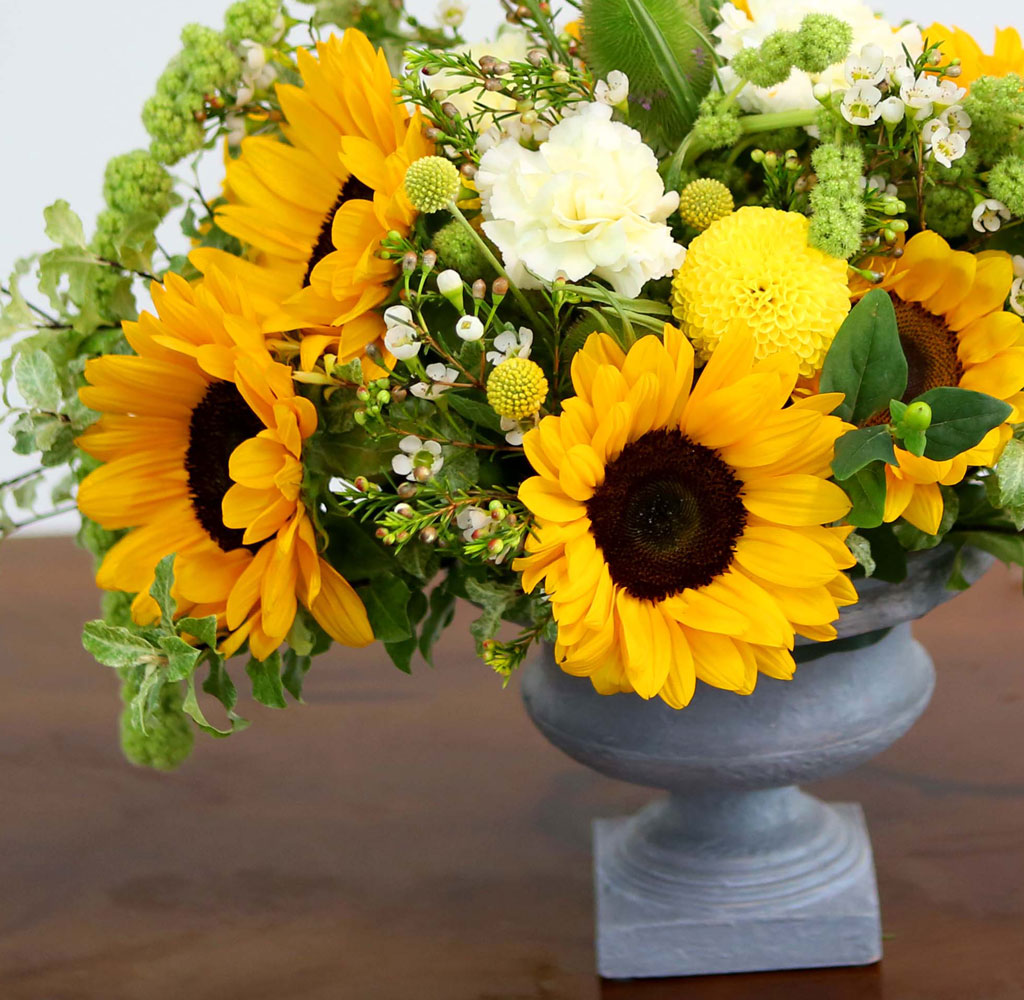 Summer Flowers - ޺ Ը  ɹ