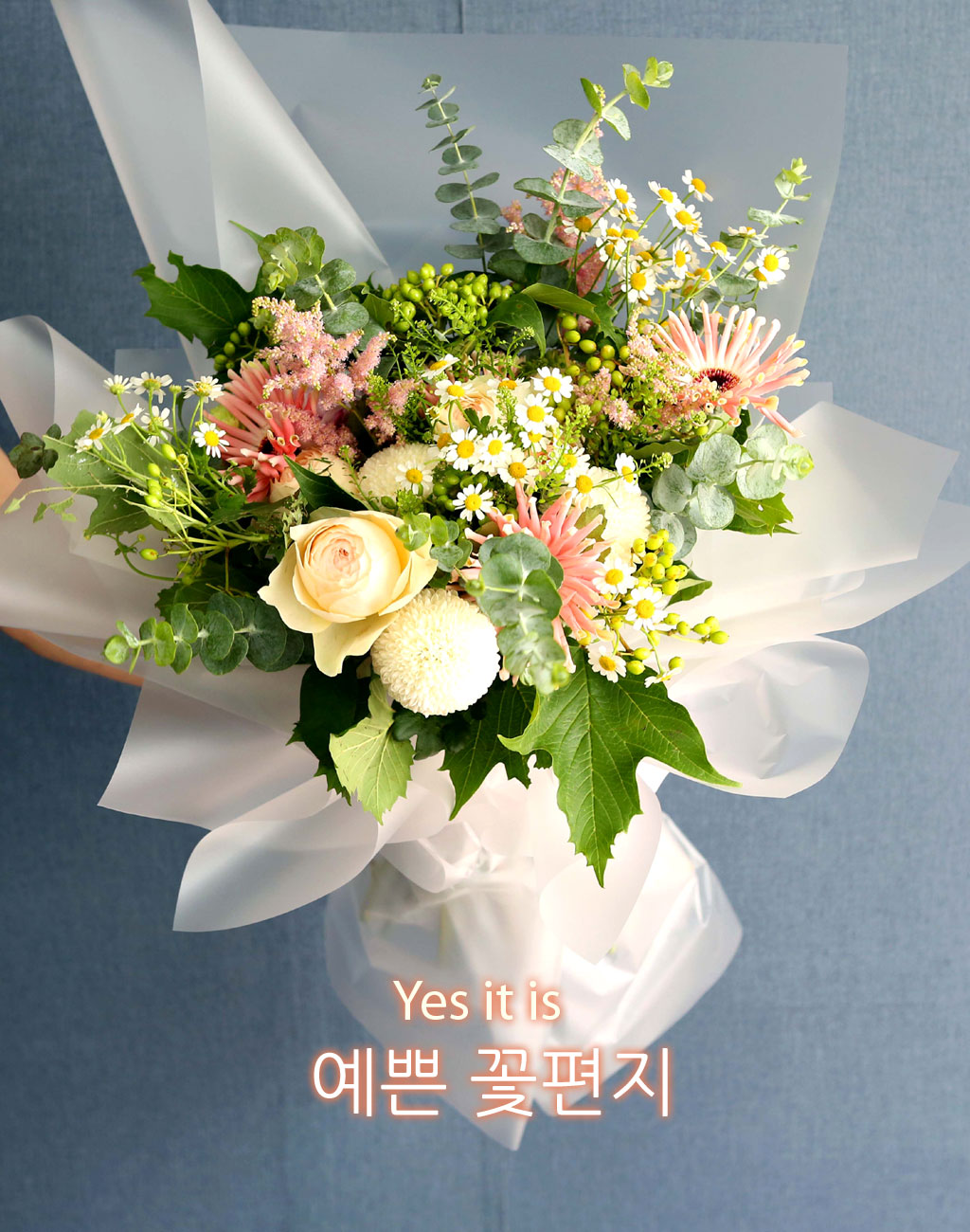 [/ǹ]Yes it is      ɹ