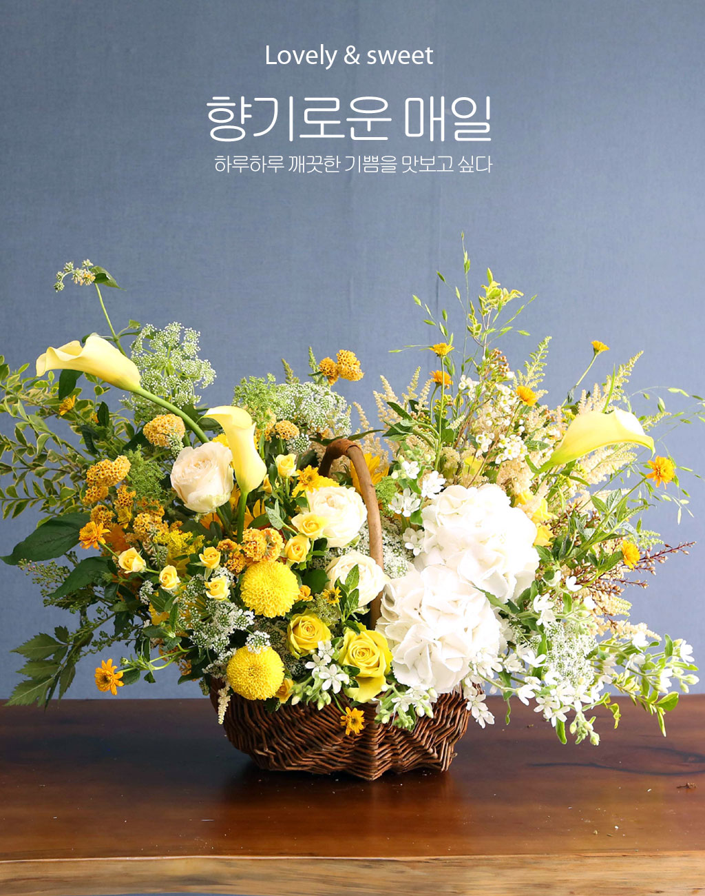 lovely & Sweet - ο   ɹ