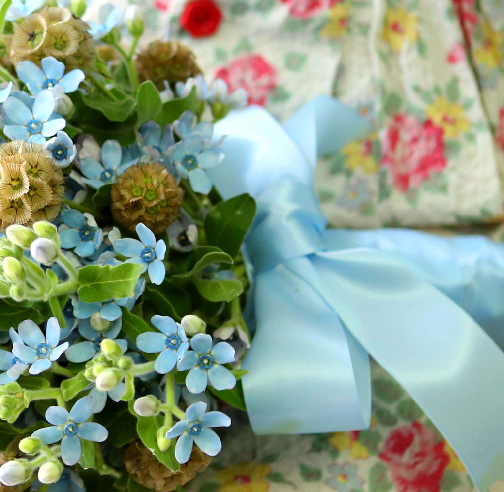 Yes it is   Oxypetalum  Bouquet  ɹ