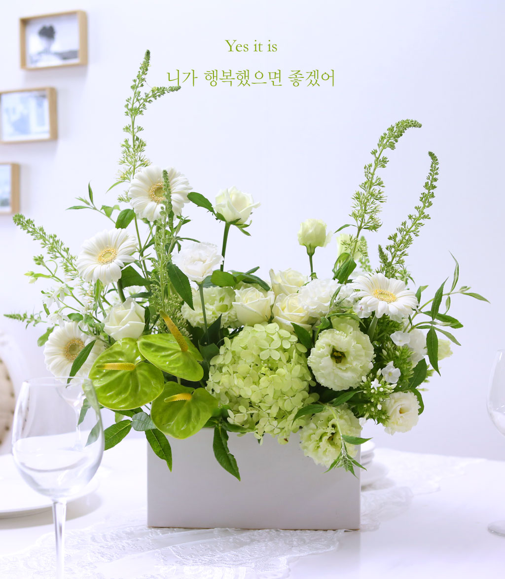 [/ǹ]Yes it is -  ϰ ູ ھ  ɹ